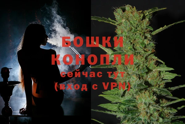 ECSTASY Богородицк